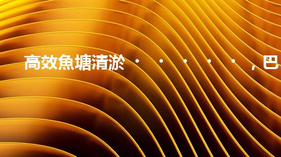 高效魚塘清淤，巴洛仕設(shè)備助力生態(tài)養(yǎng)殖